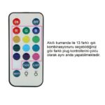 Uzaktan Kumandalı Led Işıklı Çelik Anal Plug